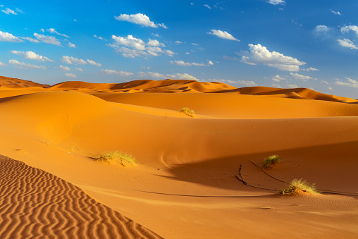 sahara at erfoud, morocco