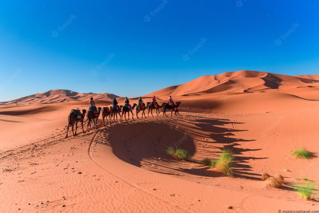 Trekking & Walking in The Moroccan Desert sahara trek