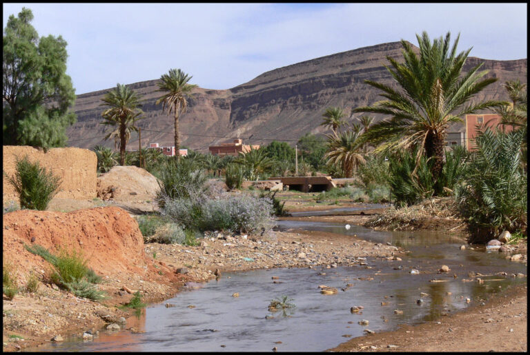 Turas 5-Lá Fásach an tSahára Ó Agadir