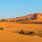 Fes to Marrakech 4-Day / 3 Night Sahara Desert Trip Camel tour