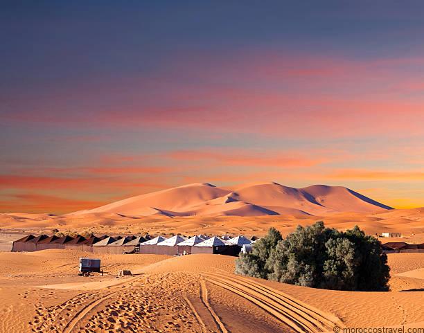 Dumhcha Erg Chebbi