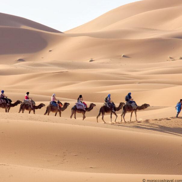 3 Day Desert Tour From Marrakech To Merzouga Morocco sahara desert tour