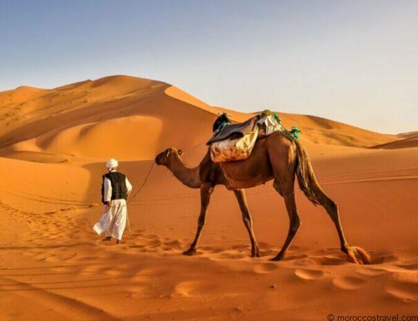 Private Tours In Morocco Sahara trekking