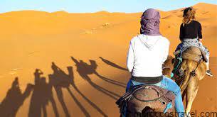 Morocco Travel & Holiday Packages Camel