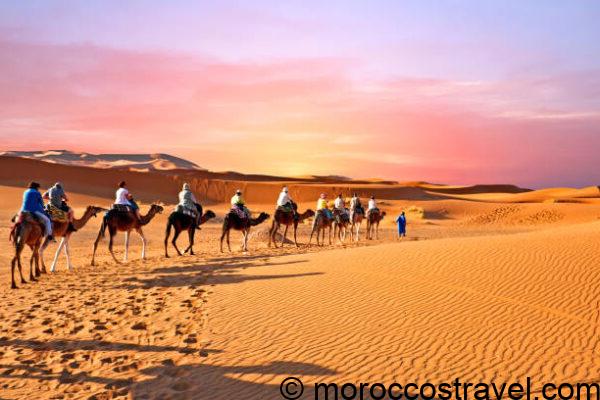 TOP Merzouga Activities, Excursions & Desert Tours Camel trek desert tour
