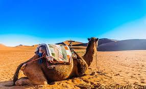 4 Day Travel From Fes To The Sahara Desert Sahara desert tour