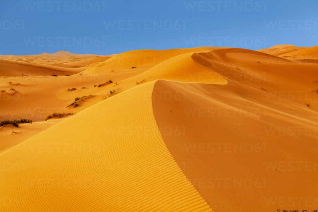 Morocco Desert Tours & Sahara Excursions Sahara