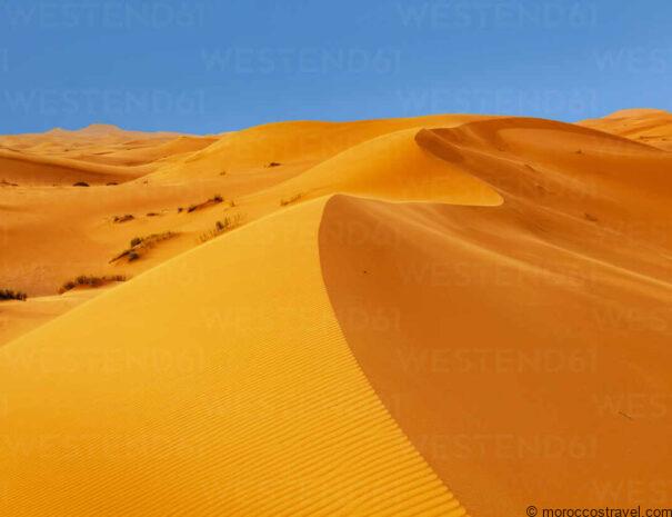 Tour Of 6 Days From Casablanca To The Sahara Desert Sahara