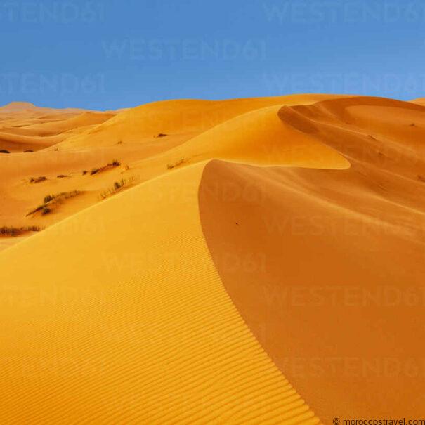 3 Day desert excursion from Fes to Marrakech Sahara