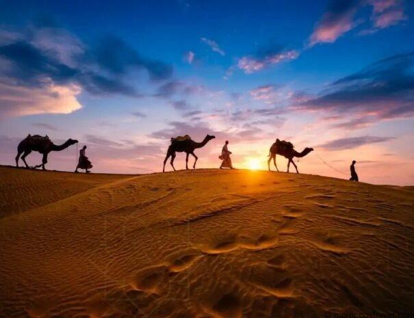 Merzouga Camel Trekking & Night In Desert Camp Camel trekking