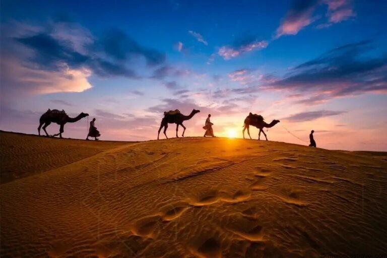 Fánaíocht camel