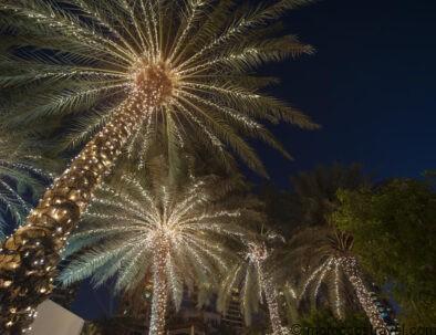 Morocco Travel & Holiday Packages morocco-new-year