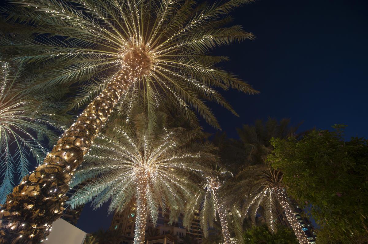 Christmas And New Year