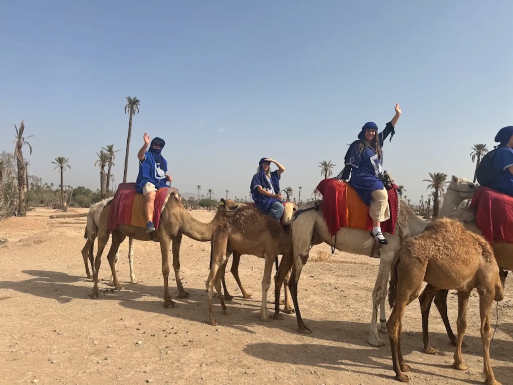 Camel ride in the Agafay desert near Marrakech