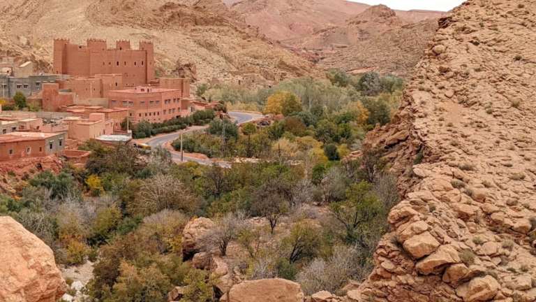 Palm groves of the Draa Valley near Zagora