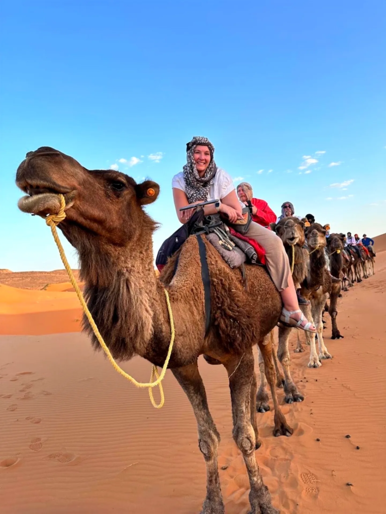 Camel trek into the Erg Chebbi dunes, Merzouga