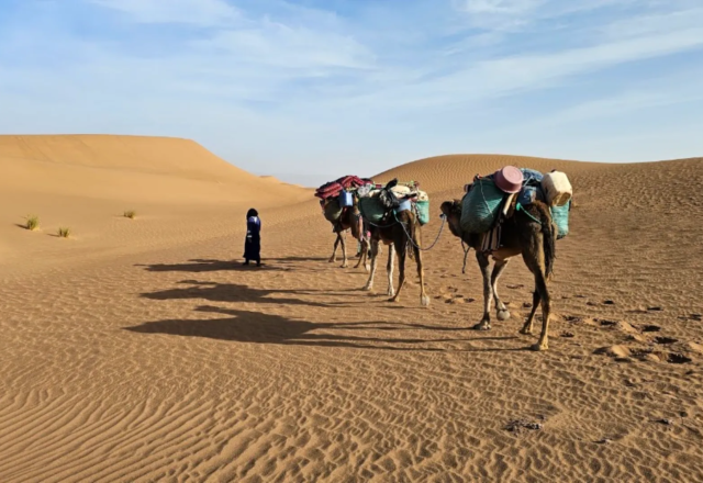 1-Day Desert Walk in Merzouga (Erg Chebbi)