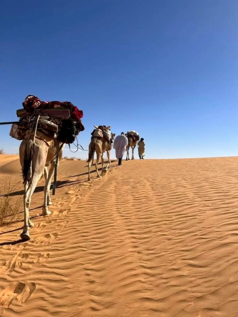 Ibilaldiak eta trekkingak Saharan, Merzougatik gertu