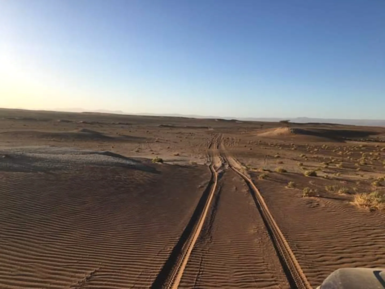 Off-road tracks across the desert