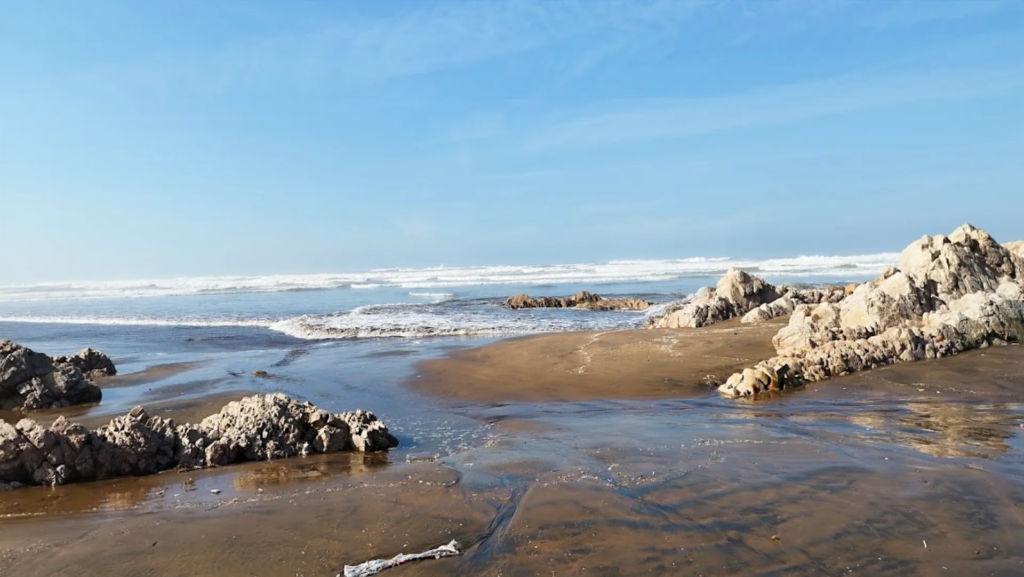 The Ultimate Guide to Surf and Sahara in Morocco Atlantic waves on the Moroccan coast