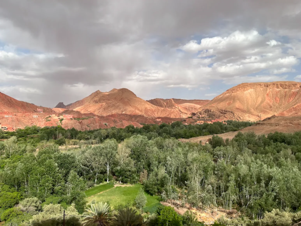 Palm oasis in southern Morocco