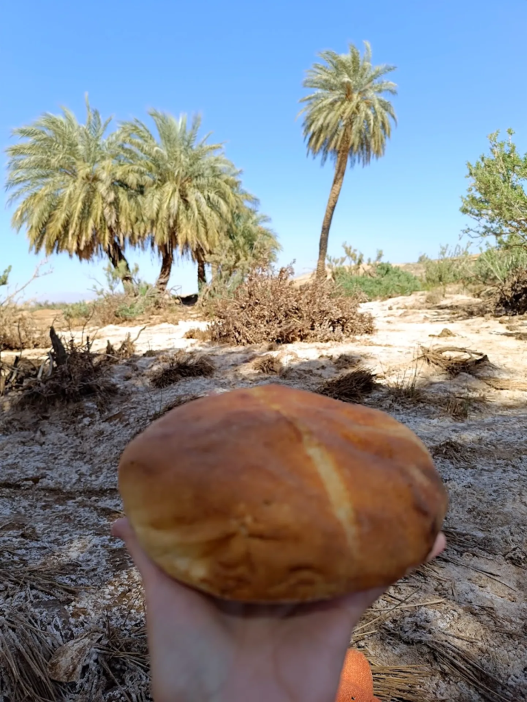Berber bread baked in the sand at a palm oasis