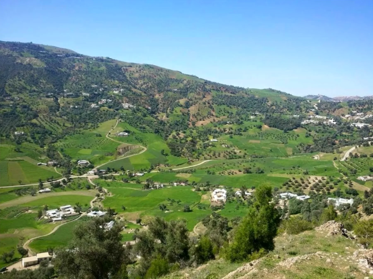 The Rif Mountains, northern Morocco
