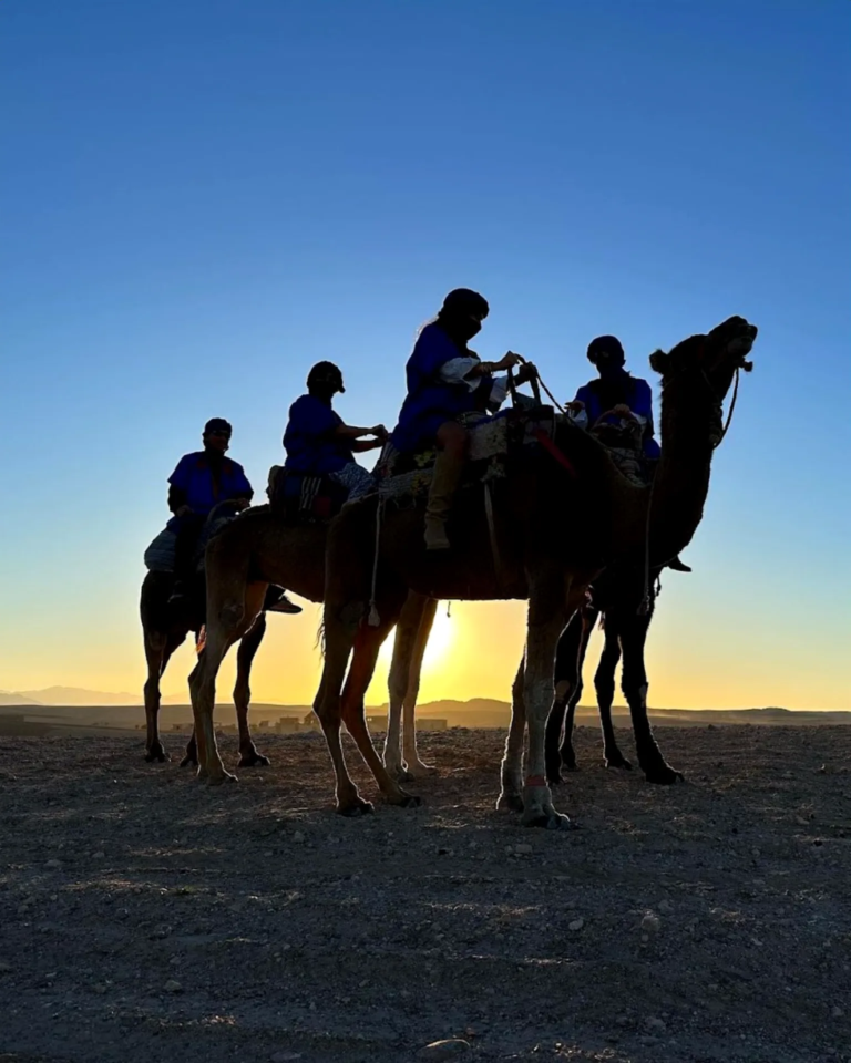 Camel trek silhouettes at sunset