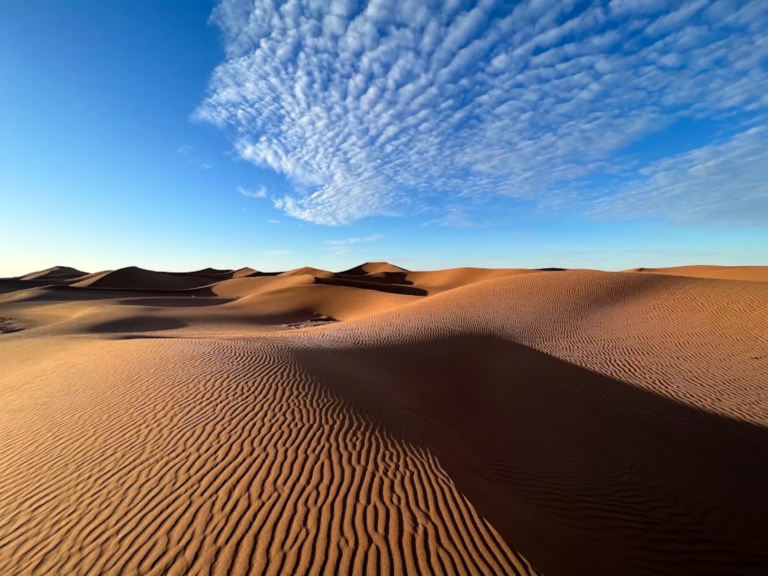 Sand dunes of the Moroccan Sahara