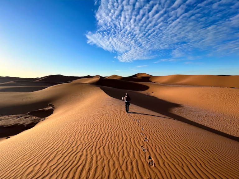 Sand dunes of the Moroccan Sahara