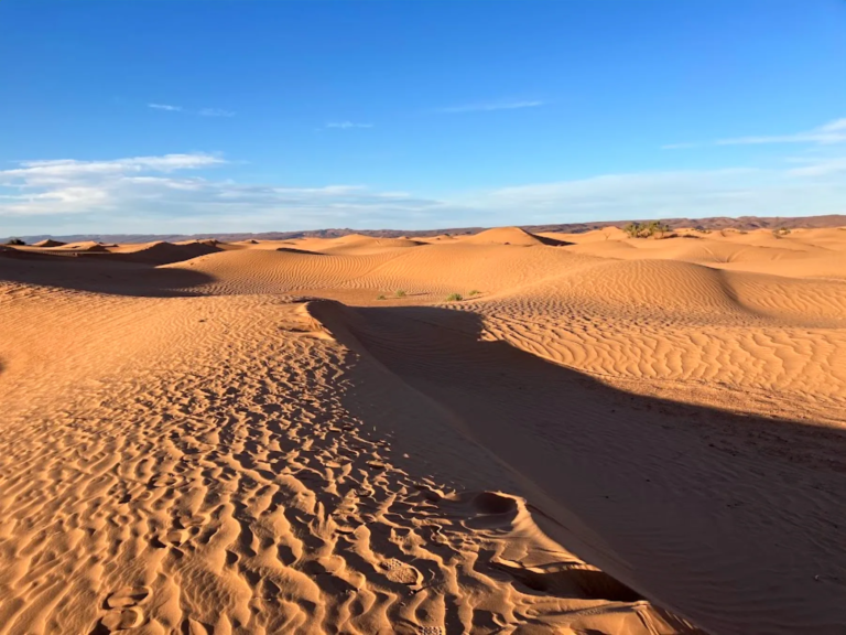Sand dunes of the Moroccan Sahara