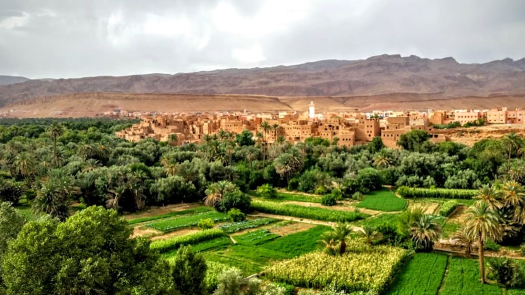 Todra Gorge and the Tinghir palm oasis